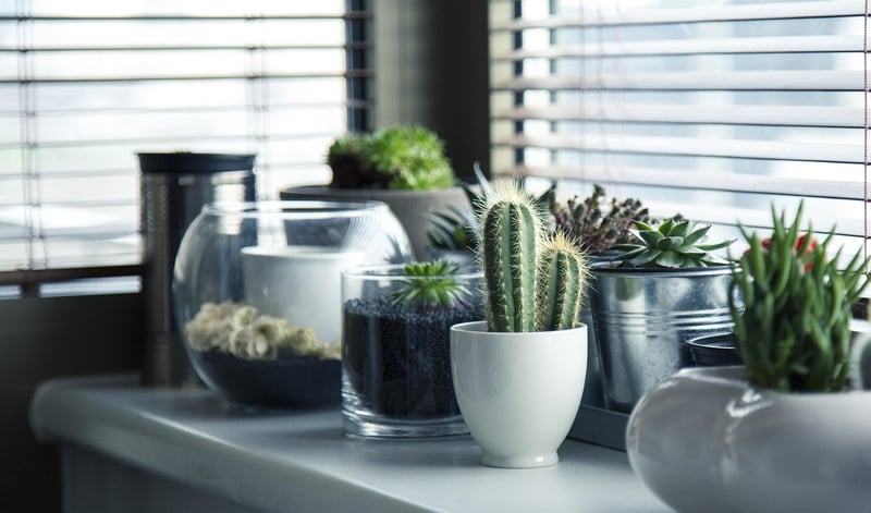 DIY Planters